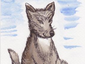 Schamanisches Krafttier Wolf | Bedeutung und Eigenschaften