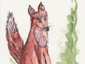 Schamanisches Krafttier Fuchs | Bedeutung und Eigenschaften