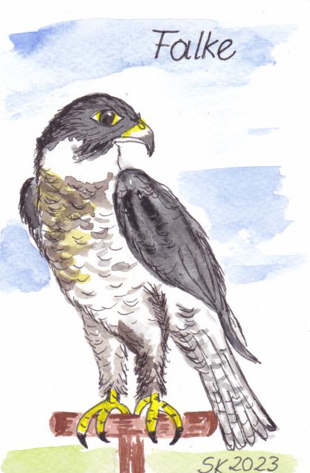 Krafttier Falke