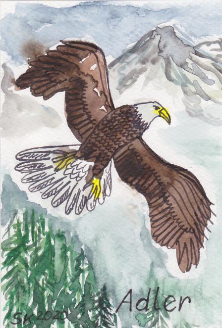 Schamanisches Krafttier Adler