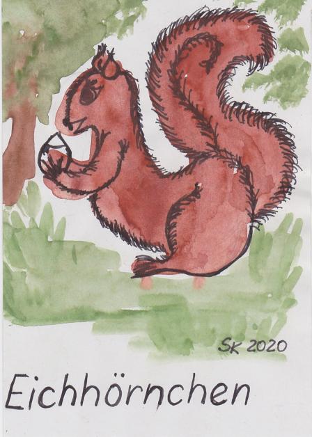 Krafttier Eichhörnchen