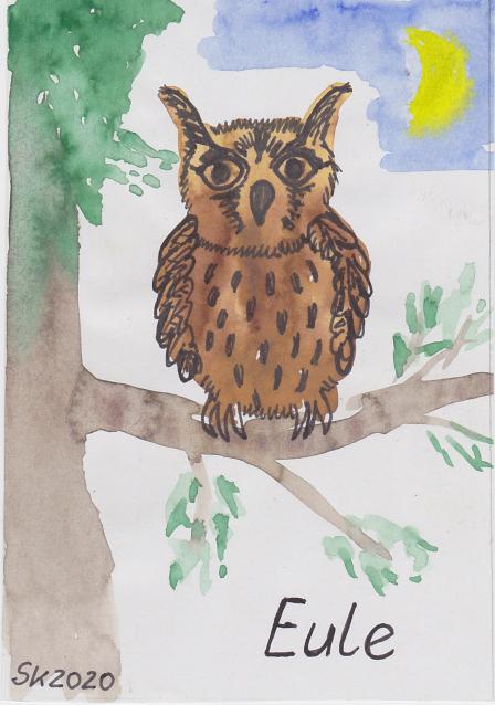 Schamanisches Krafttier Eule