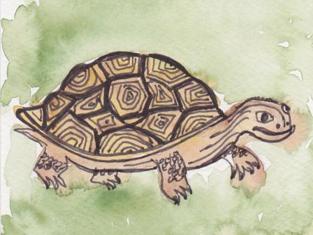 Krafttier Schamanin Gelsenkirchen